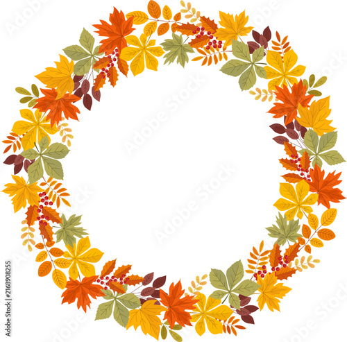 Harvest wreath. Autumn garland with colorful leaves and berries isolated on white background