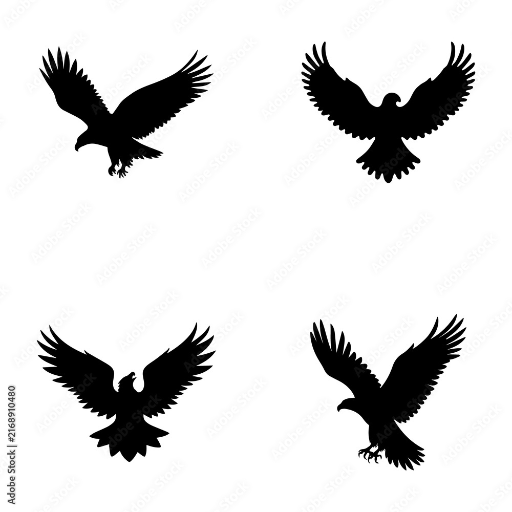 Fototapeta premium Eagle Silhouette Collection – Flying Birds of Prey