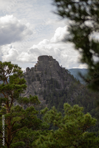 Scenic mountain landscape with a rugged rock formation surrounded by dense evergreen forest and a mature pine tree in the foreground under a dramatic cloudy sky. Natural wilderness scenery, rocky moun