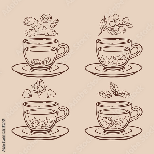 Set glass mugs of tea and saucer. Medicinal tea. Hand drawn vector illustration.