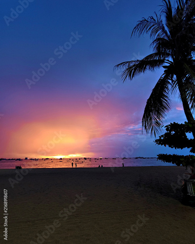 Sunset over a tropical beach with palm tree silhouette