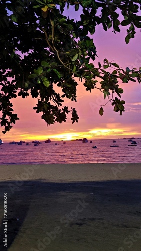 Sunset over calm ocean with boats and tree branches