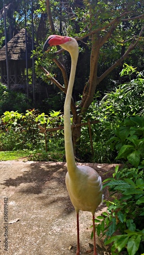 Pink flamingo standing in a lush green enclosure