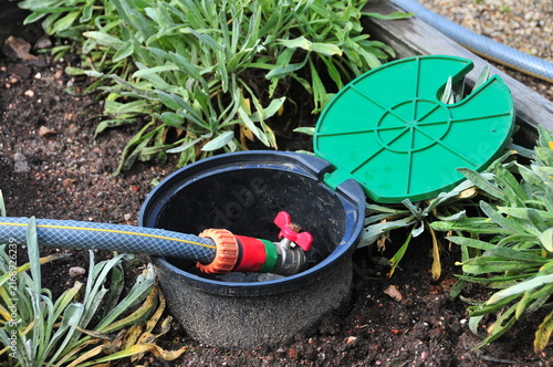 фотографія Close up of a garden irrigation valve connected to a hose among ornamental plants and dark soil