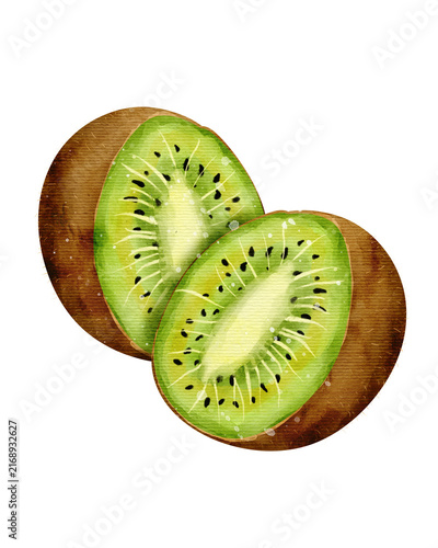 Foto Watercolor Kiwi fruit illustration