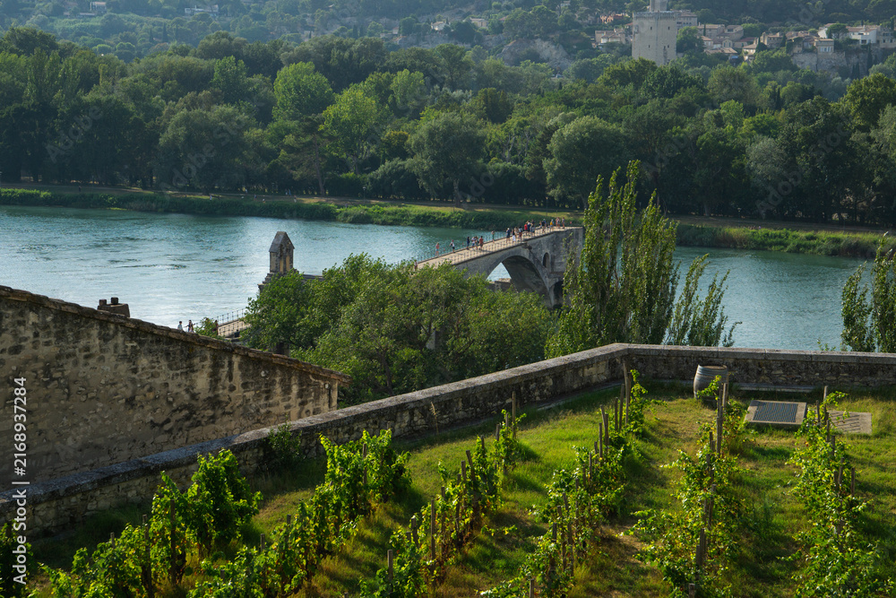 Obraz premium Avignon, France - 04 08 2026: Pont d’Avignon seen from Rocher des Doms panoramic point