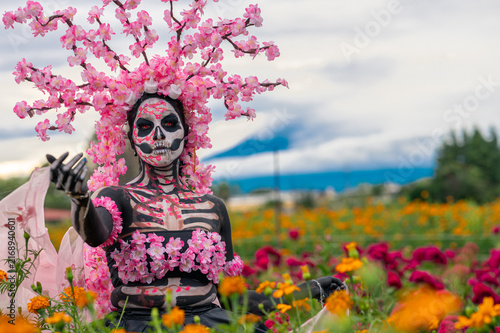 Catrina with Pink Headdress in Flower Garden