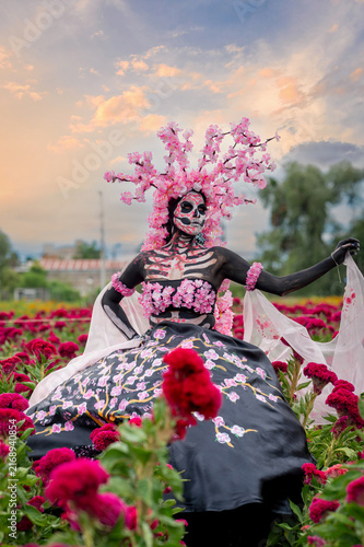 Catrina Reclining Among Mexican Flowers at Sunset