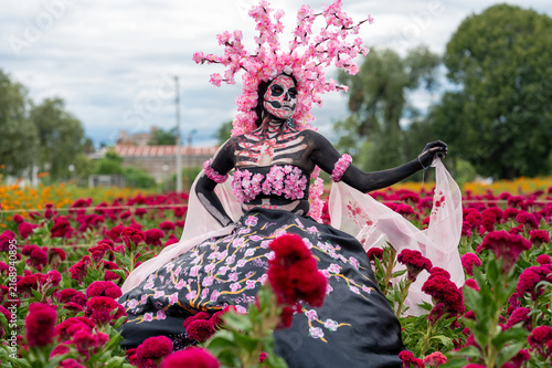 Catrina Seated in Dense Red Flower Field