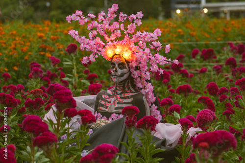 Catrina in Cempasuchil Field at Sunset, Cholula