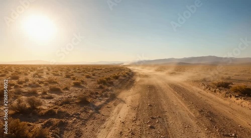 Sunlit dusty dirt road winding through arid desert scrub toward distant mountains under a clear blue sky