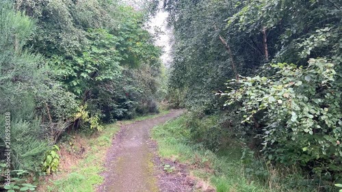 First Person View Walking Along Path Through Scottish Woodland