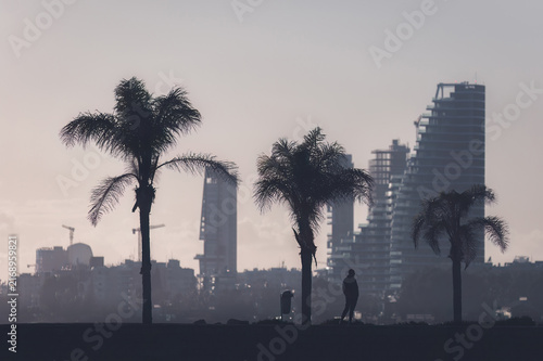 Silhouette of a man walking over pier with palm trees and cityscape in background of Limassol, Cyprus