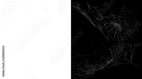 Fotografía Spooky spider web illustration on black background, realistic cobweb texture for
