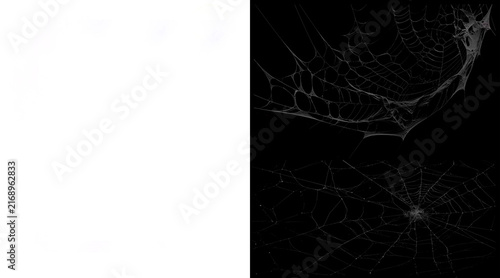 Fotografía Spooky spider web collection on black background, realistic cobweb set for Hallo