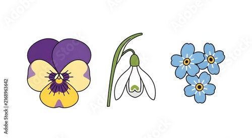 Set of colorful spring flowers including pansy, snowdrop and forget-me-not illustrations