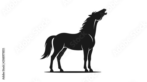 Fotografie Black horse silhouette standing and neighing with head up vector illustration is