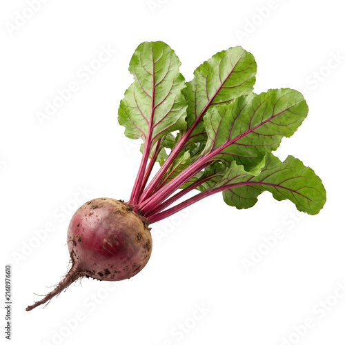 Freshly harvested beetroot with vibrant green leaves and deep red root on transparent background
