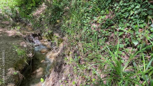 Small woodland creek with gently flowing clear water surrounded by dense green plants, ivy and trees in bright daylight, ideal nature background. High quality 4k footage
