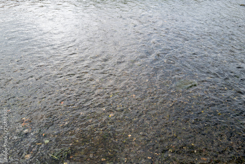 Rustling water with visible stones and plants