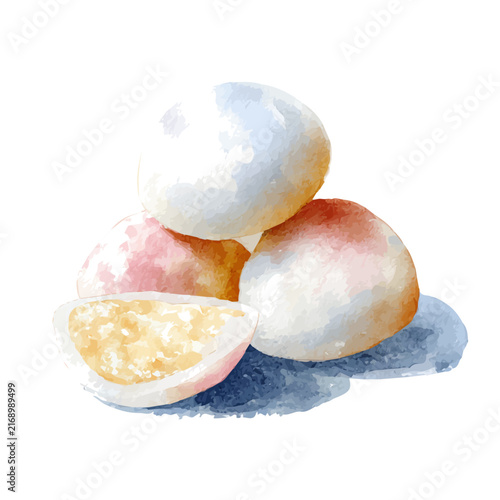 Photography Mochi watercolor artwork, high-quality professional vector illustration isolated on a white background