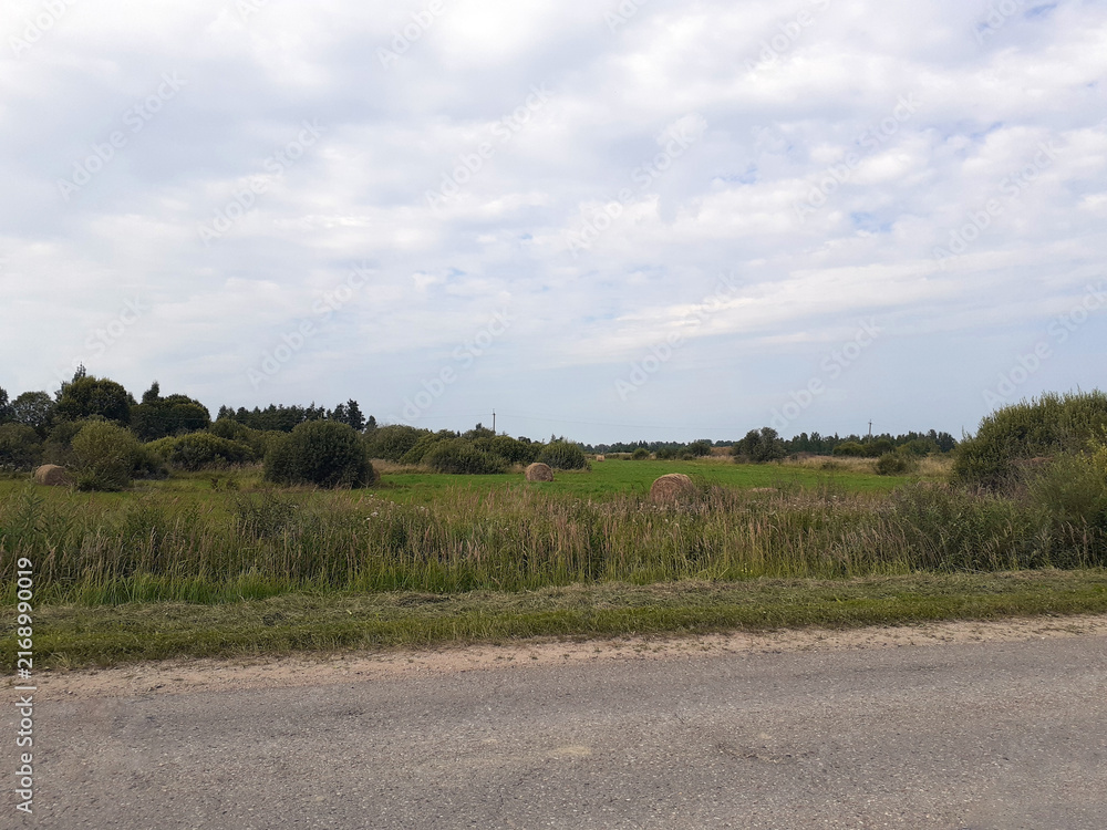 Obraz premium Hay Bales in Rural Field Landscape. A green mown meadow with lush trees and bushes. Cloudy skies.