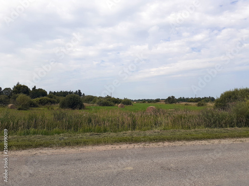 Hay Bales in Rural Field Landscape. A green mown meadow with lush trees and bushes. Cloudy skies.