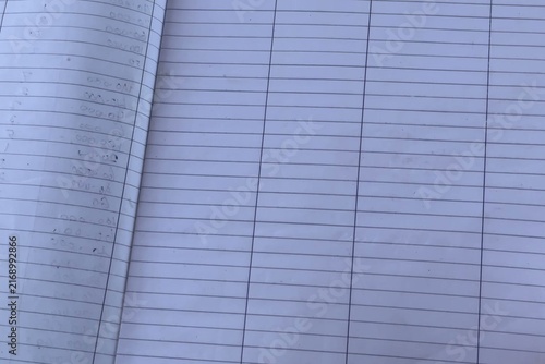 Quadro su tela Handwritten Accounting Ledger Sheet in Lined Paper Notebook
