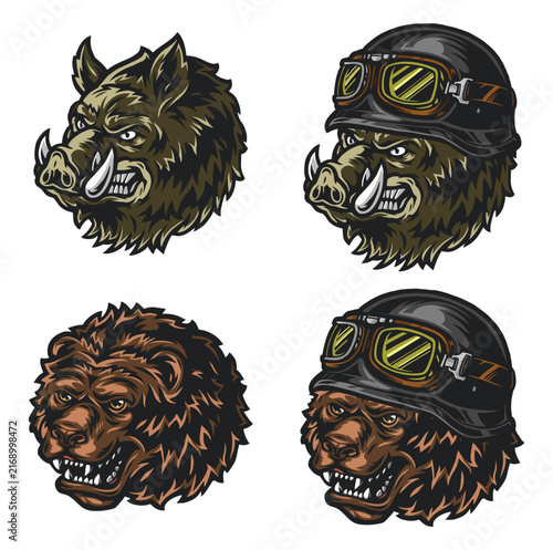 vector illustration