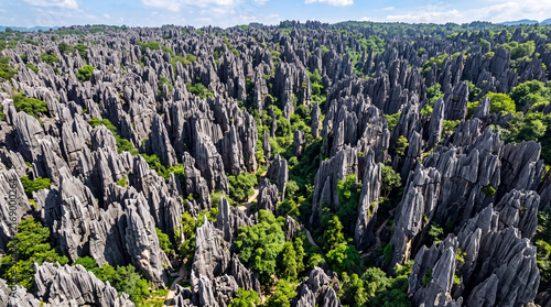AI-generated aerial illustration of a vast and dense stone forest featuring thousands of sharp limestone pinnacles and lush green trees under a clear sky.