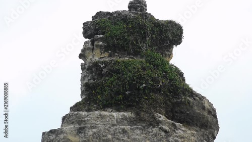 Wild seabirds soar past a massive limestone sea stack cliff covered in dense green vines and moss under an overcast, bright dramatic sky background.