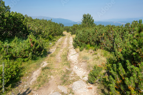 Rila Mountain near Mechit and Popova Kapa peaks, Bulgaria