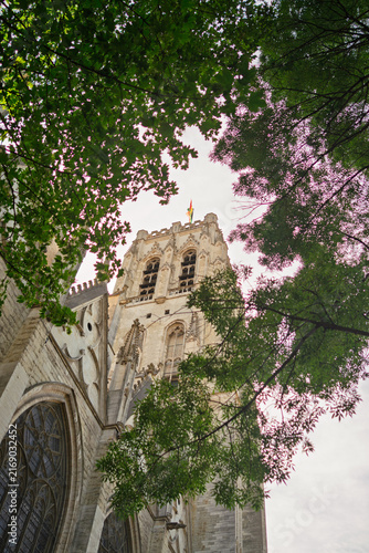 Gothic Cathedral Tower Framed by Green Trees in Brussels, Belgium