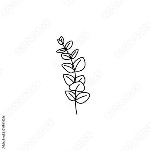 Minimalist branch with leaves, isolated