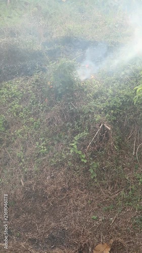Dense smoke rising from a patch of dry vegetation in a rural field.