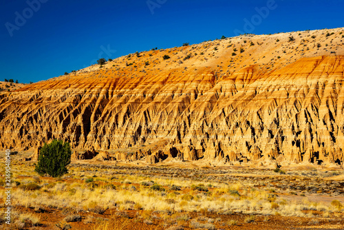 Golden sunlight on clay pinnacles at Juniper Draw