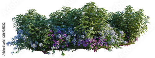 Canvastavla Petunia hybrida, Plumbago auriculata and Tabernaemontan tree shrub, plant bush,