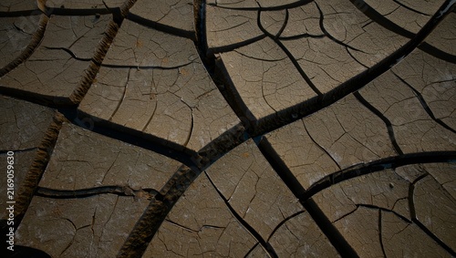 Plakat Cracked Mud Texture Background