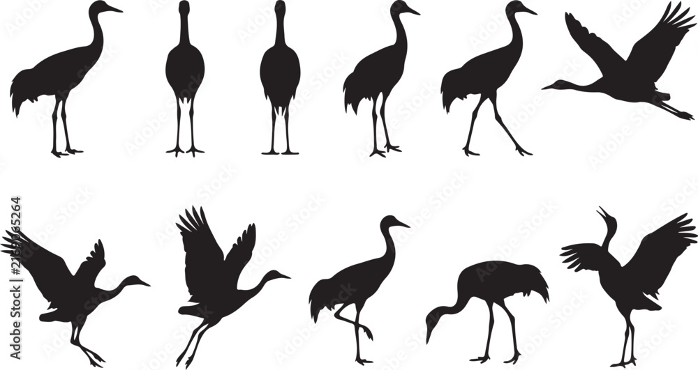 Naklejka premium Set of Black Crane Silhouettes in Various Standing and Flying Poses Isolated on White Background