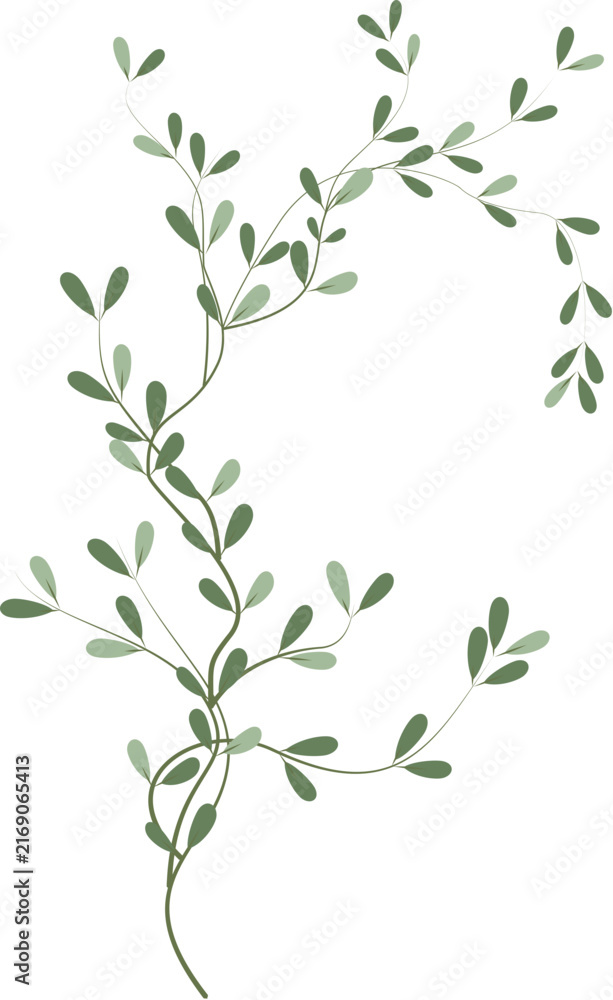 Fototapeta premium Green Leaves and Natural Branch Botanical Element