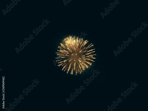 Cuadro en lienzo Bright golden pyrotechnic firework explosion bursting in the pitch-black night sky with glowing sparks shooting outward from the center