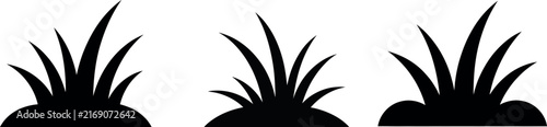 Three black silhouettes of small grass tufts or wheat stalks isolated on a plain white background for graphic design