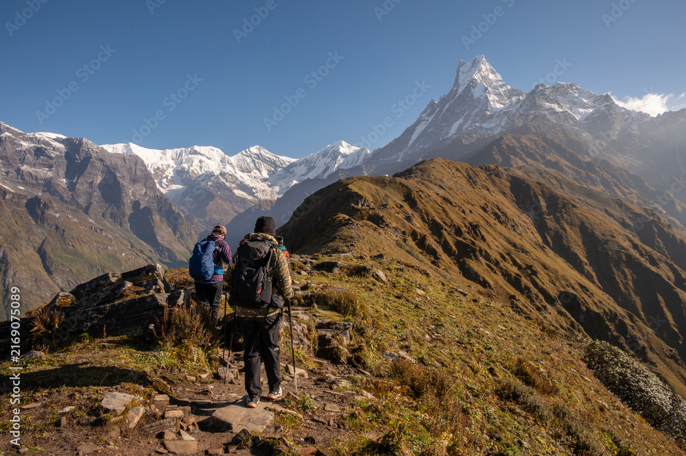 Obraz premium Group of tourist walking to Mardi Himal base camp with beautiful view of Mt.Machapuchare. Mardi Himal Trek is one of the newly popular trekking route in the Nepal.