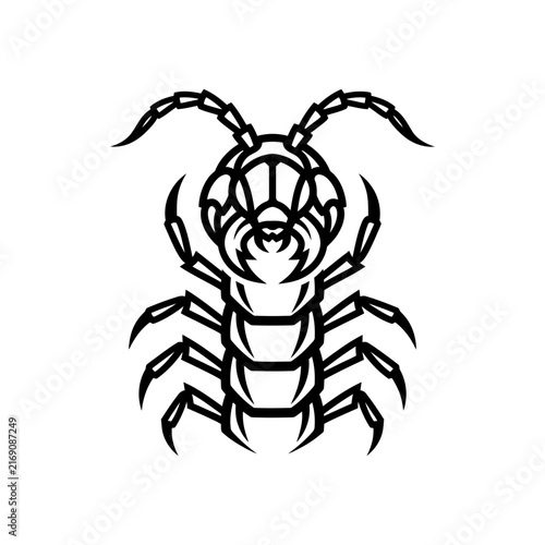Stylized Centipede Insect Line Art Isolated