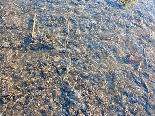 Close up view of clear shallow water flowing over muddy riverbed. Natural texture of water ripples and wet soil for ecology and environmental background.