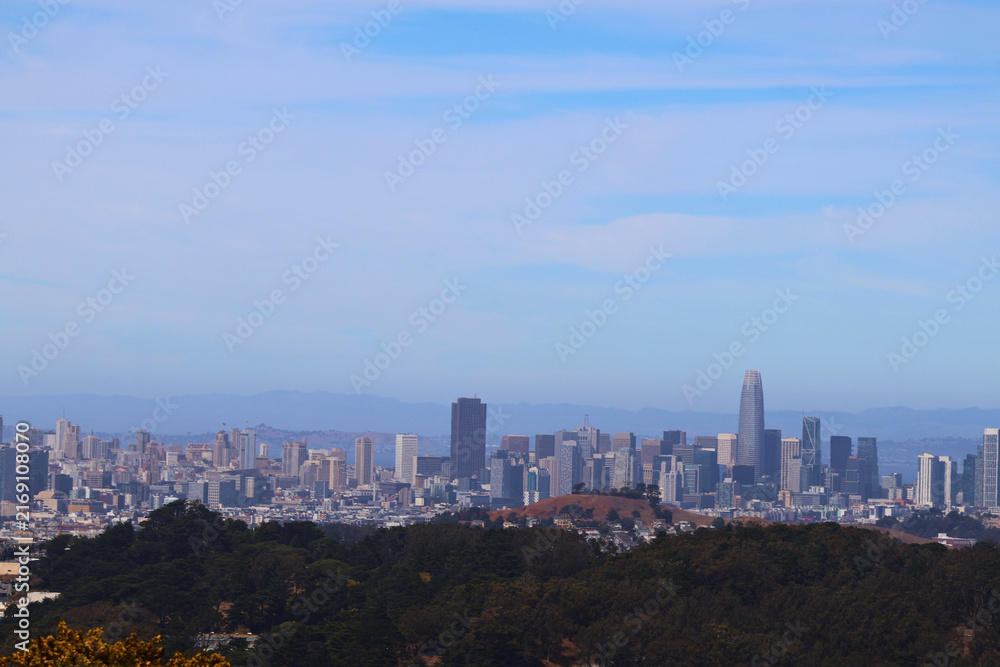 Fototapeta premium Blue Sky and San Francisco Overlook 2
