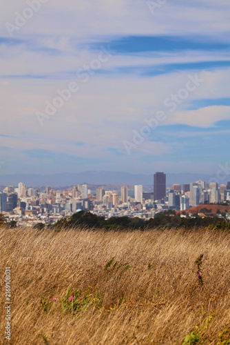 Scenic View Of San Francisco Skyline 5