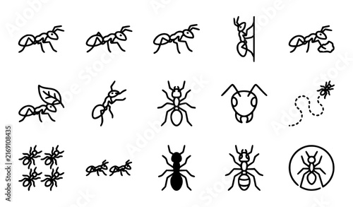 Bild auf Leinwand Walking ants insect outline icon set entomology EPS10 vector illustration