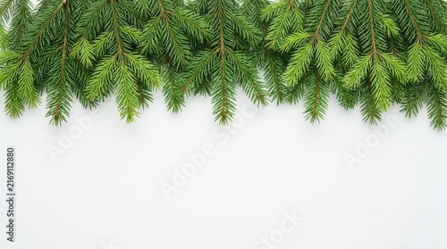 Fresh Green Fir Tree Branches Garland on White Background for Winter Holiday Design