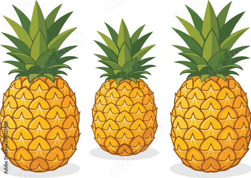 premium vector illustration of pineapple